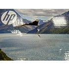 Productafbeelding HP Envy 5030 All-in-One        [1]