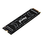 Productafbeelding Kingston FURY Renegade