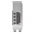 Productafbeelding PNY RTX 2000 Ada Generation 16GB incl. Adapter 4x mDP->DP