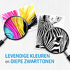 Productafbeelding HP No.303 2-Pack 200/165 pagina´s (Origineel)