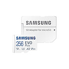 Productafbeelding Samsung EVO Plus