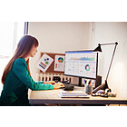 Productafbeelding Philips 24E2N1100A