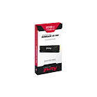 Productafbeelding Kingston FURY Renegade G5