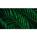 Productafbeelding Philips 24B2G5301