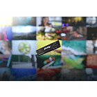 Productafbeelding Kingston FURY Renegade G5